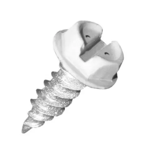 HW8X2ZWT ZIP-IN 250PK WHITE HEAD
SCREWS